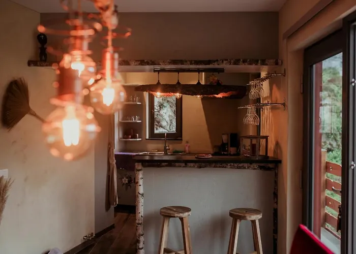 La Taniere 度假居 迪南