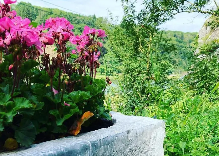 La Taniere 度假居 迪南